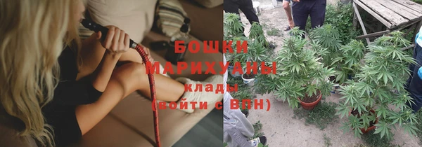 гидра Сосновый Бор