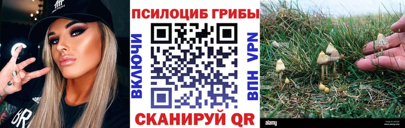 Галлюциногенные грибы мицелий  Назарово 